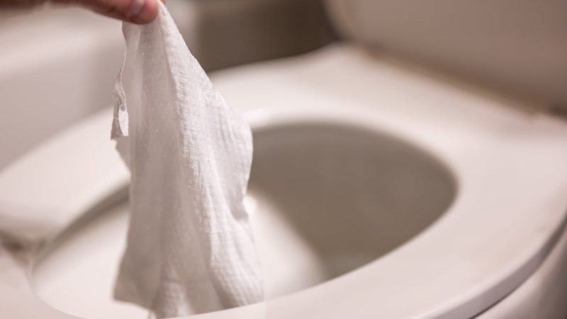 Three Common Plumbing Myths – Busted!
