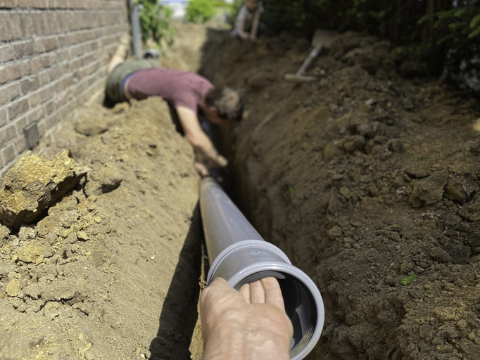 How Tree Roots Trigger the Need for Sewer Water Line Excavation